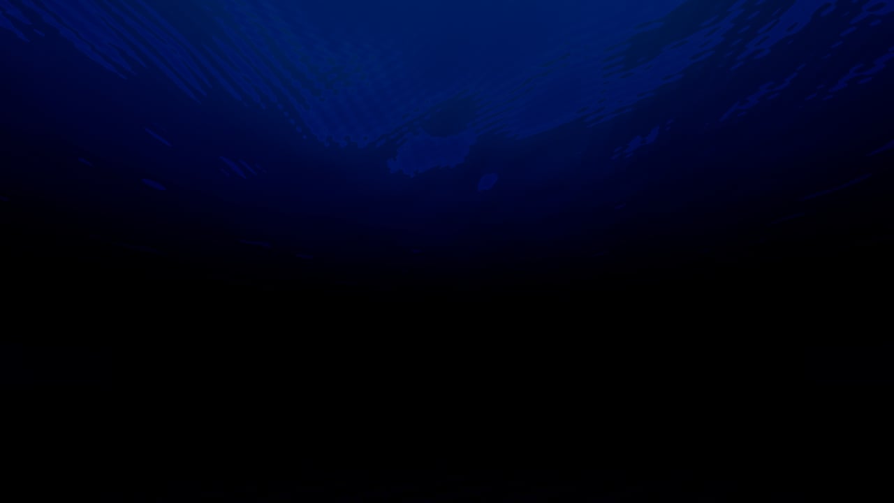 Twenty-six meters down in the open-ocean body, looking up: shafts fanning from a bright patch overhead, everything below the middle of the frame gone to black