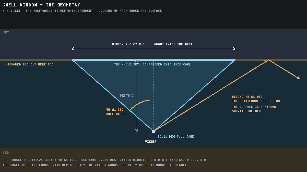 A geometry diagram of the Snell window: a viewer under the surface, a 48.61 degree half-angle arc, a 97.21 degree cone holding the whole sky, the window marked at 2.27 times the depth, and a ray outside the cone reflecting off the underside where the bed appears mirrored
